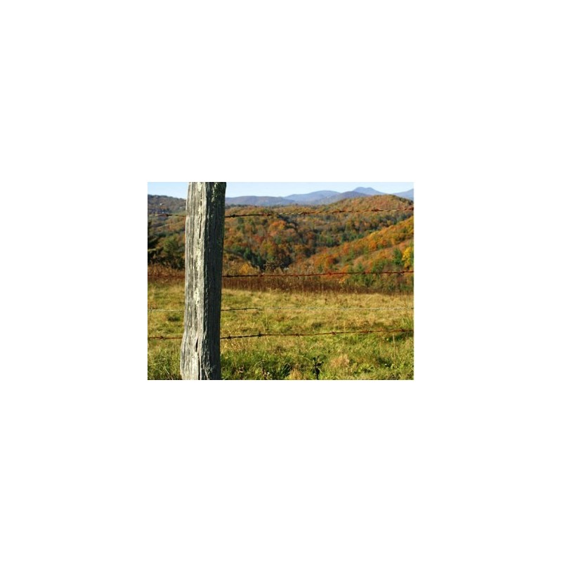 Piquets d'Acacia appointés 1m40 Diamètre 15/20